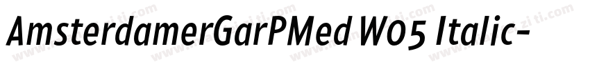 AmsterdamerGarPMed W05 Italic字体转换